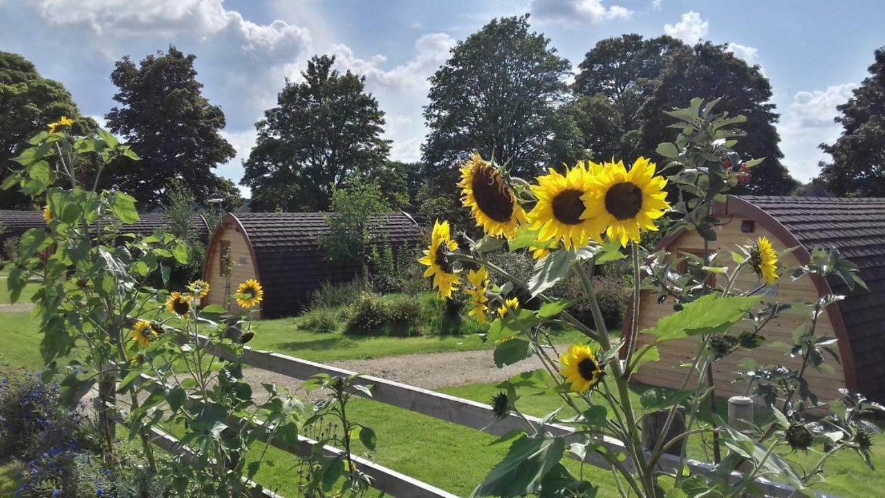 Mallow Glamping Pod Cheltenham Kültér fotó